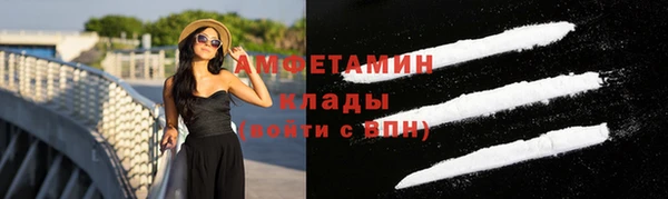 стаф Елизово