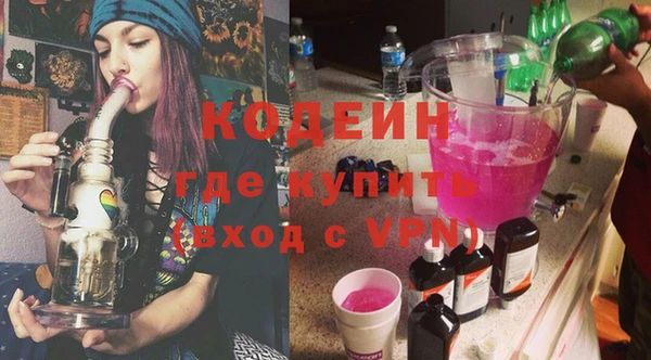 стаф Елизово