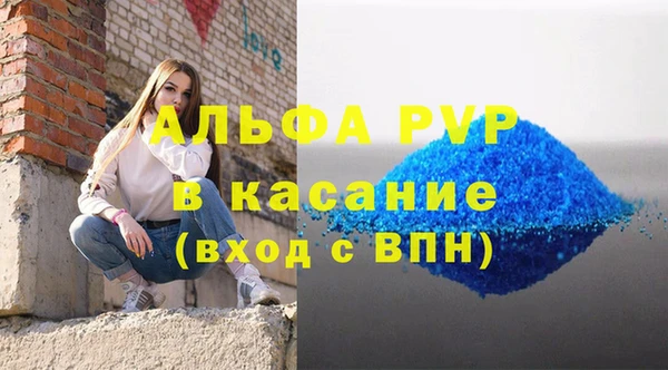 стаф Елизово