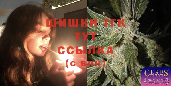 стаф Елизово