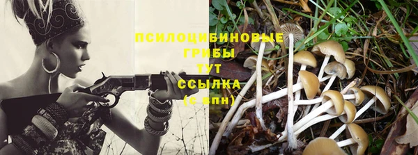 кокаин Ельня