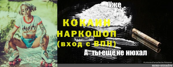 стаф Елизово