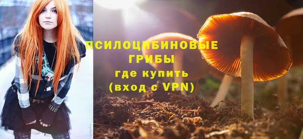 стаф Елизово